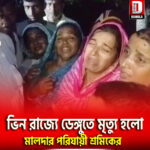 ভিন রাজ্যে ডেঙ্গুতে মৃত্যু হলো মালদার পরিযায়ী শ্রমিকের