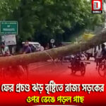 ফের প্রচণ্ড ঝড় বৃষ্টিতে রাজ্য সড়কের ওপর গাছ ভেঙে পড়ল কামাখ্যাগুড়িতে