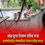 ফের বুনো দাঁতাল হাতির হানা, জলপাইগুড়ি জেলার বানারহাট ব্লকের শালবাড়ি ১নং গ্রাম পঞ্চায়েতে তাণ্ডব