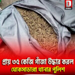 প্রায় ৩৫ কেজি গাঁজা উদ্ধার করল ঘোকসাডাঙ্গা থানার পুলিশ