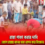 রাস্তা পাকা করার দাবি, বেহাল রাস্তায় ধানের চারা রোপন করে বিক্ষোভ দঃ দিনাজপুর কুশমন্ডি ইব্রাহিমপুরে