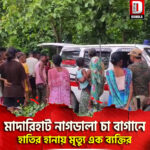 মাদারিহাট নাগডালা চা বাগানে হাতির হানায় মৃত্যু এক ব্যক্তির