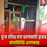 বুনো হাতির হানা ফালাকাটা ব্লকের শালকুমার গ্রাম পঞ্চায়েতের বাদাইটারি এলাকায়