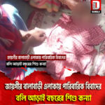 জায়গীর বালাবাড়ী এলাকায় পারিবারিক বিবাদের বলি আড়াই বছরের শিশু কন্যা