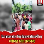 ভিন রাজ্যে কাজে গিয়ে ফিরলো কফিনবন্দী হয়ে, শোকের ছায়া হলদিবাড়ি ৭৪ নং নিজতরফ এলাকায়