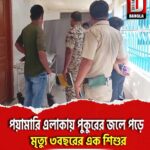হলদিবাড়ি পয়ামারি এলাকায় পুকুরের জলে পড়ে মৃত্যু ৩বছরের এক শিশুর