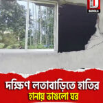 দক্ষিণ লতাবাড়িতে হাতির হানায় ভাঙলো ঘর