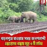 খড়গপুরে যাওয়ার সময় জনশতাব্দী এক্সপ্রেসের ধাক্কায় মৃত্যু ৩ টি হাতির
