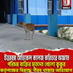 উত্তরবঙ্গ মেডিকেল কলেজ করিডরে অজ্ঞাত পরিচয় ব্যক্তির মৃতদেহ খেলো কুকুর, কর্তৃপক্ষের বিরুদ্ধে নীরব থাকার অভিযোগ