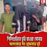 শিলিগুড়িতে চুরি যাওয়া সোনার অলংকার সহ গ্রেফতার দুই