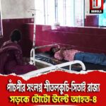 পাঁচপীর সংলগ্ন শীতলকুচি-সিতাই রাজ্য সড়কে টোটো উল্টে আহত-৪