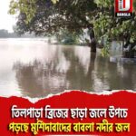 তিলপাড়া ব্রিজের ছাড়া জলে উপচে পড়ছে মুর্শিদাবাদের বাবলা নদীর জল