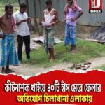 কীটনাশক খাইয়ে ৪০টি হাঁস মেরে ফেলার অভিযোগ তুফানগঞ্জ জায়গীর চিলাখানা এলাকায়