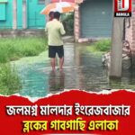 জলমগ্ন মালদার ইংরেজবাজার ব্লকের গাবগাছি এলাকা
