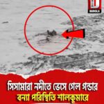 সিসামারা নদীতে ভেসে গেল গন্ডার, বন্যা পরিস্থিতি শালকুমারে