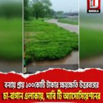 বন্যায় প্রায় ১০০কোটি টাকার ক্ষয়ক্ষতি উত্তরবঙ্গের চা-বাগান এলাকায়, দাবি টি অ্যাসোসিয়েশনের
